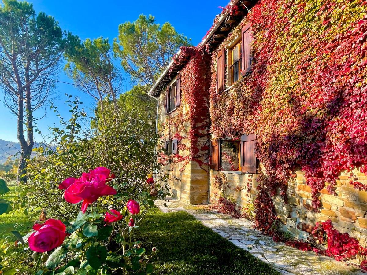 La Panoramica Gubbio: Charming Self-Catering Retreat Villa Exterior photo